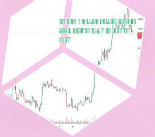 1 bitcoin 1 million