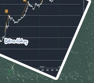 Next bitcoin halving